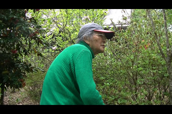 BS1スペシャル 老いてなお 花となる 第二章 俳優・織本順吉 92歳 写真その1